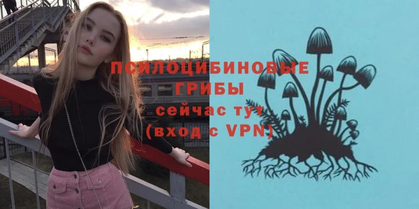 прущие крисы Каменногорск