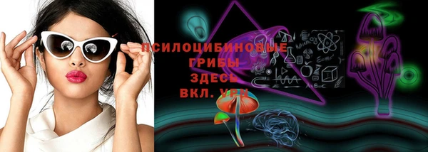 прущие крисы Каменногорск