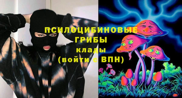 соль курить ск Каменка