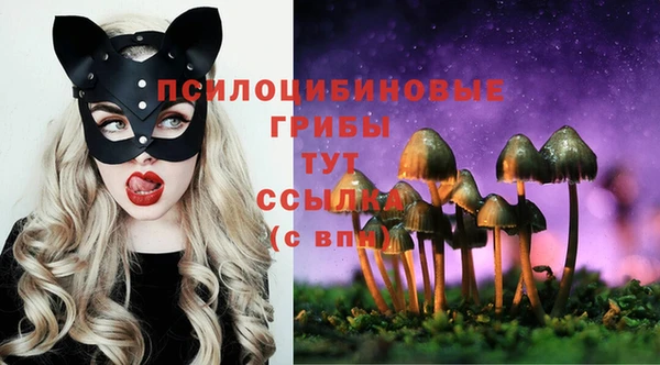 таблы Каменск-Шахтинский