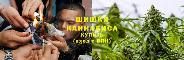 прущие крисы Каменногорск