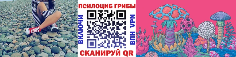Купить закладки  Киреевск  Псилоцибиновые грибы Psilocybe 